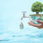 Tendencias ecológicas que realmente están salvando al mundo