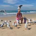 La reina de las gaviotas: Una mujer de la Costa de Oro se hace amiga de los pájaros de la playa