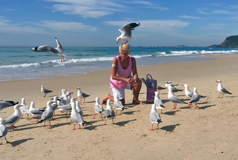 La reina de las gaviotas: Una mujer de la Costa de Oro se hace amiga de los pájaros de la playa