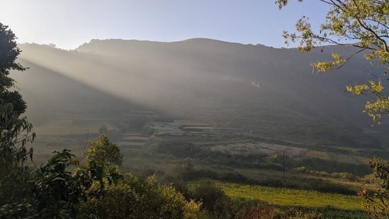 Valle de Araku: El Valle de Araku es una estación de montaña ubicada en el distrito de Visakhapatnam.  Es famoso por su belleza escénica y plantaciones de café.  El valle ofrece un escape perfecto del ajetreo y el bullicio de la vida de la ciudad.  Puede hacer senderismo, explorar las cascadas cercanas y disfrutar de la belleza de la naturaleza.  (Unsplash)