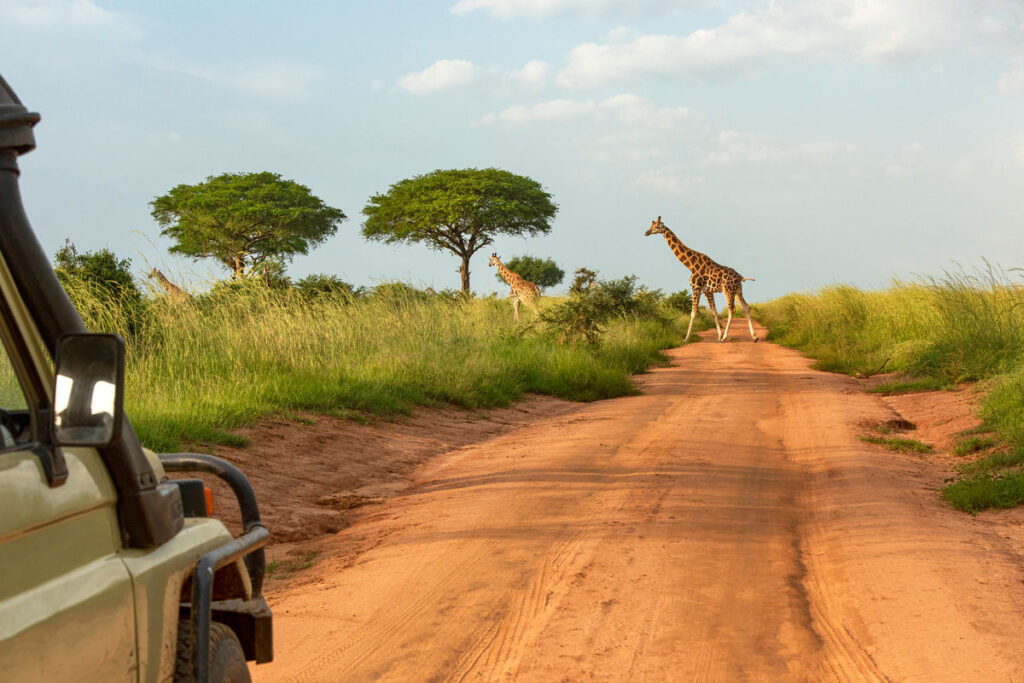 Uganda anuncia nueva iniciativa de turismo