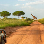 Uganda anuncia nueva iniciativa de turismo