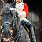 Un turista ignora el letrero en el Palacio de Buckingham que dice "los caballos pueden morder", por lo que el caballo muerde (video)