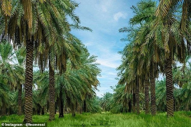 Messi también compartió una foto de su estadía, afirmando que estaba asombrado con los paisajes del reino.