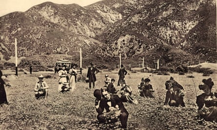 En esta foto en tonos sepia de 1903, un gran grupo de personas deambulan por un campo de flores.