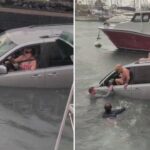 Hawaii tourists rescued after following GPS directions into boat harbor