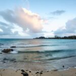Ataques de tiburones en Nueva Caledonia: el punto de acceso turístico Noumea prohíbe nadar durante un año