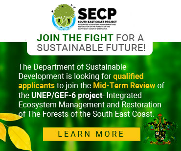 El Departamento de Desarrollo Sostenible de Santa Lucía está buscando solicitantes calificados para unirse a la revisión de mitad de período del proyecto PNUMA/GEF-6.  Toque/haga clic aquí para obtener más información.