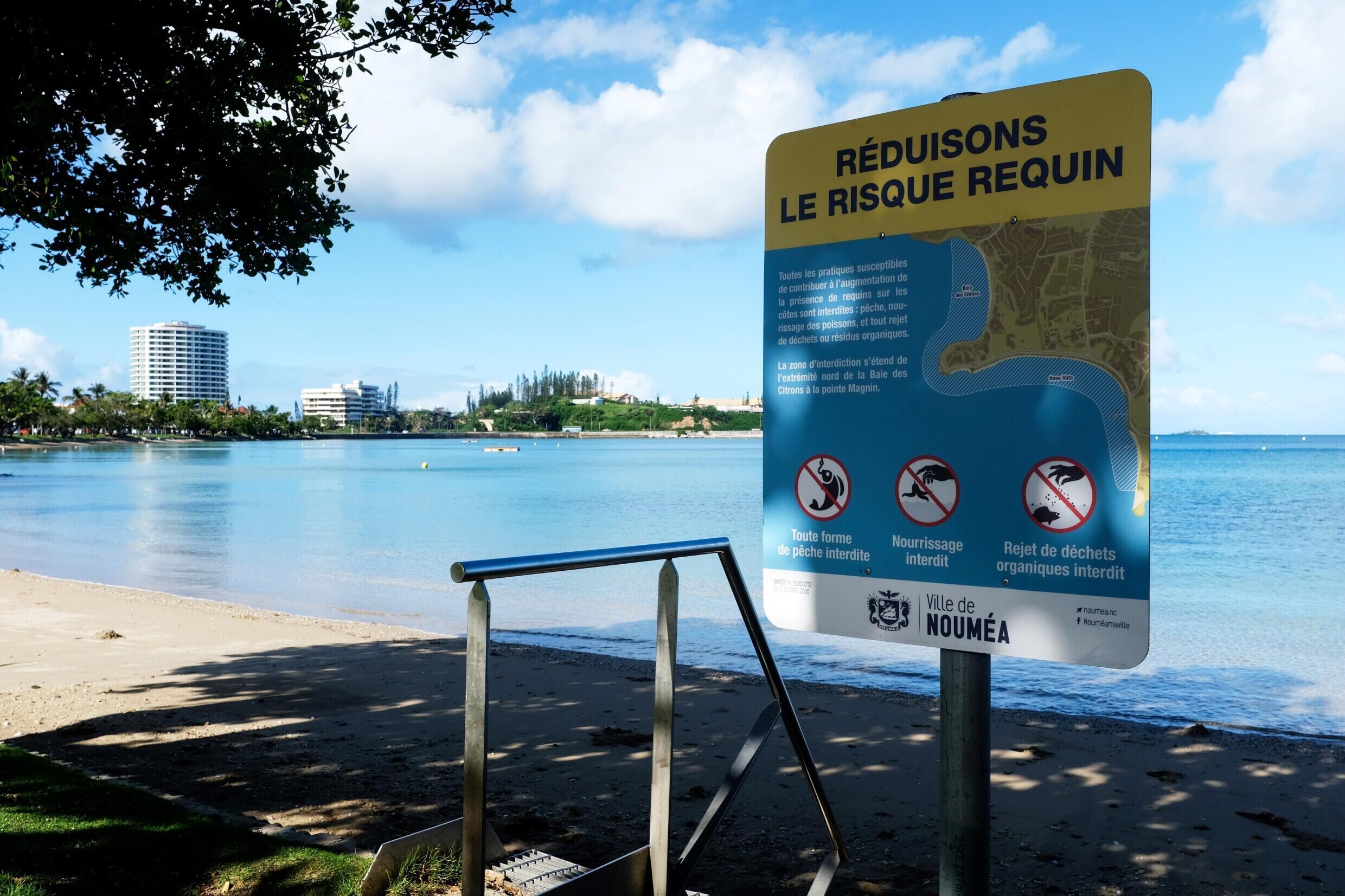 Los ambientalistas rechazan el sacrificio de tiburones por parte de las autoridades de Nueva Caledonia.