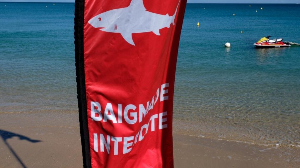 La península francesa del Pacífico está dividida en torno a la caza de tiburones.