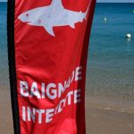 La península francesa del Pacífico está dividida en torno a la caza de tiburones.