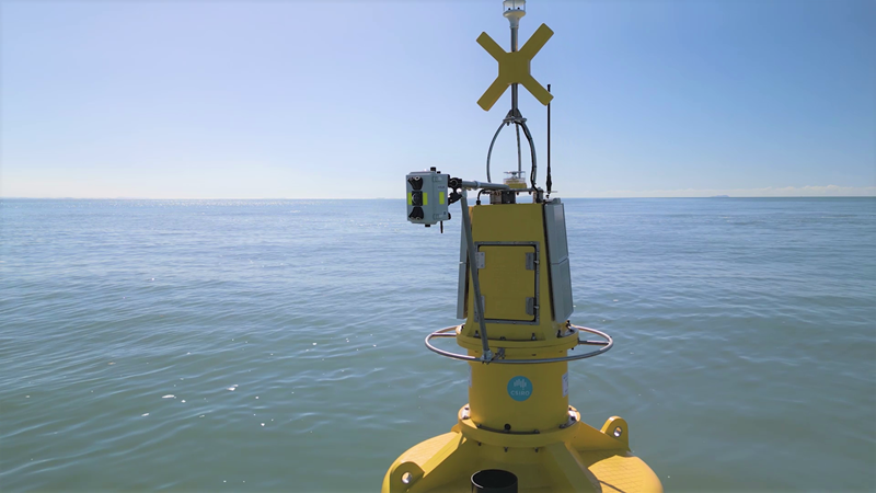 Un sensor de agua Hydra Spectra está montado en una boya en Darumble Sea Country en Keppel Bay con un fondo marino.