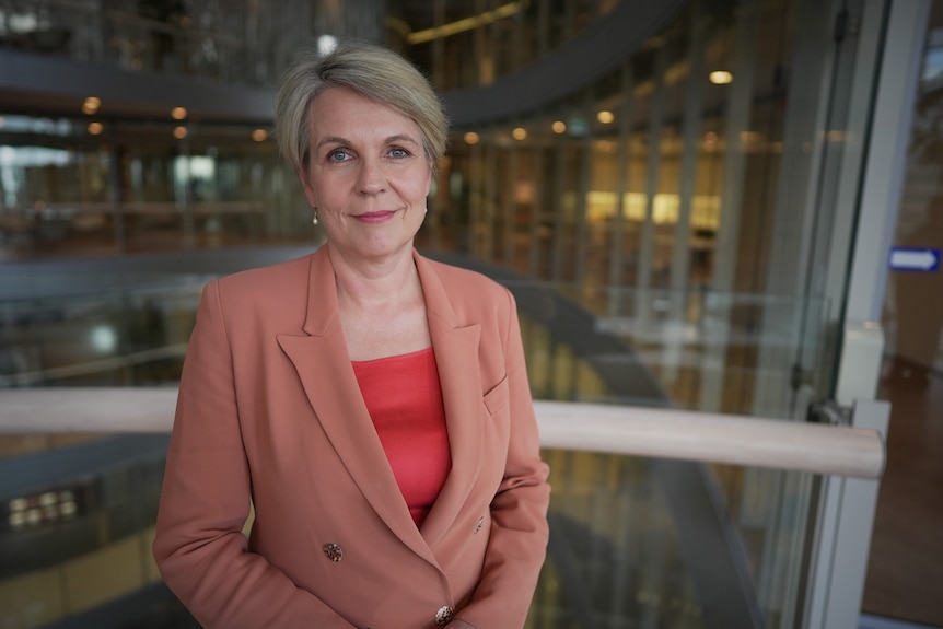 Tanya Plibersek aparece con un traje rosa. 