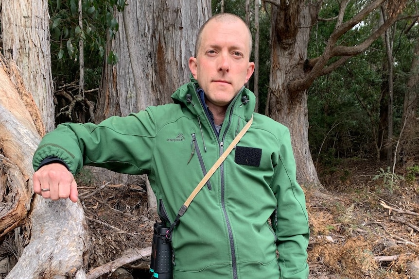 Un joven con una chaqueta verde se encuentra en el bosque.