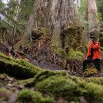 A man stands next to the base of a tall tree in a fores