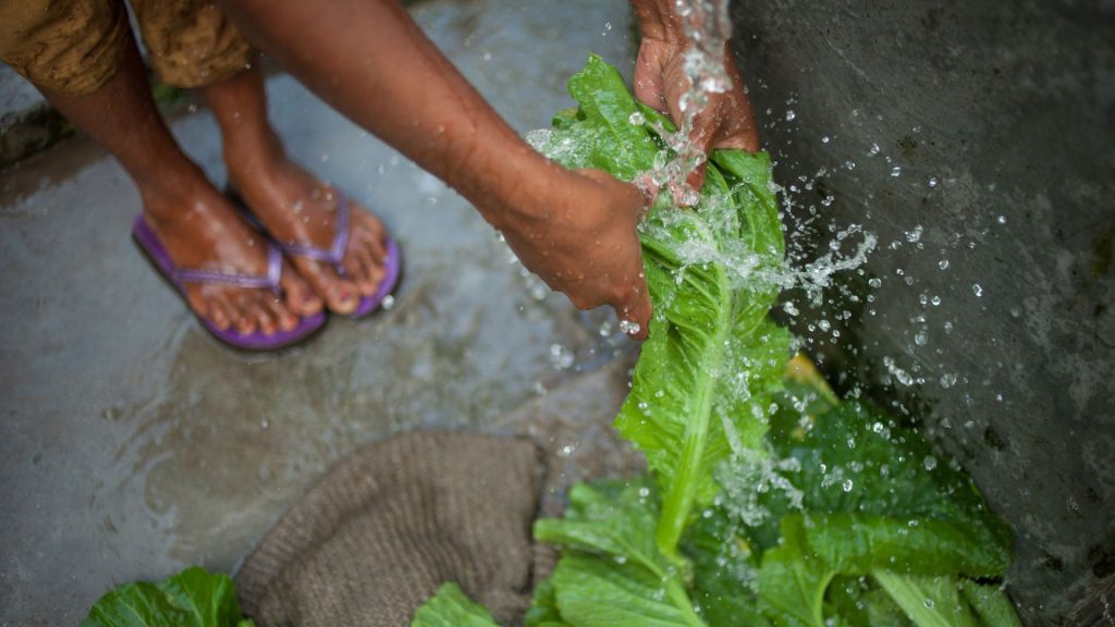 Blog: Hacia lograr el acceso al agua limpia y garantizar un saneamiento de calidad (ODS6): Innovaciones de Silbha International
