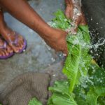 Blog: Hacia lograr el acceso al agua limpia y garantizar un saneamiento de calidad (ODS6): Innovaciones de Silbha International