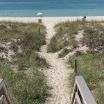 El Consejo de Desarrollo Turístico de Playas de la Ciudad de Panamá tiene nuevas ideas para el próximo año.