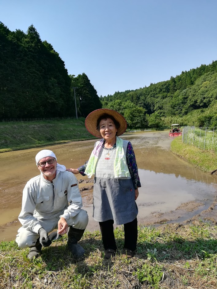Japón