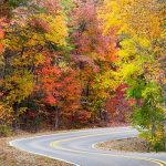 Si el clima coopera, los colores del otoño en el área de Chattanooga pueden "realmente resaltar", dicen los expertos.