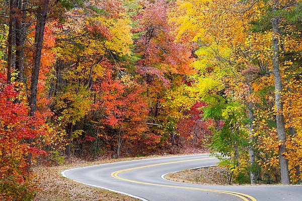 Si el clima coopera, los colores del otoño en el área de Chattanooga pueden "realmente resaltar", dicen los expertos.