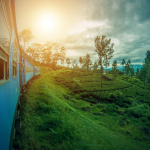 Tren de India a Bután: ¡Pronto podrás tomar un tren de India a Bután! Mundo – Times of India Travel
