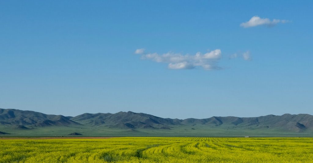 ¿Por qué tantos millennials se están mudando a Mongolia?