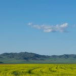 ¿Por qué tantos millennials se están mudando a Mongolia?