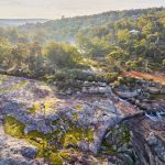 15 ideas para viajes por carretera a Swan Valley y Perth Hills