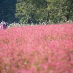 (Escapada de fin de semana) Cuatro destinos más dignos para los amantes de la naturaleza en el condado de Yongwol de Gangwon