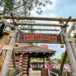 Hay una isla secreta en Disney World.  Has estado allí