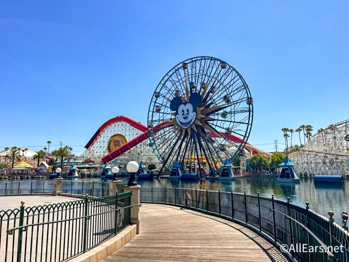 Noticias: Disney anuncia el cierre temporal del éxito nocturno