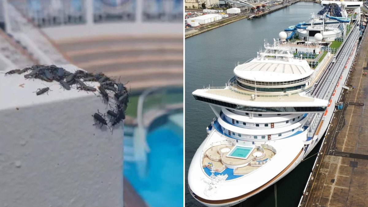 Errores en los cruceros