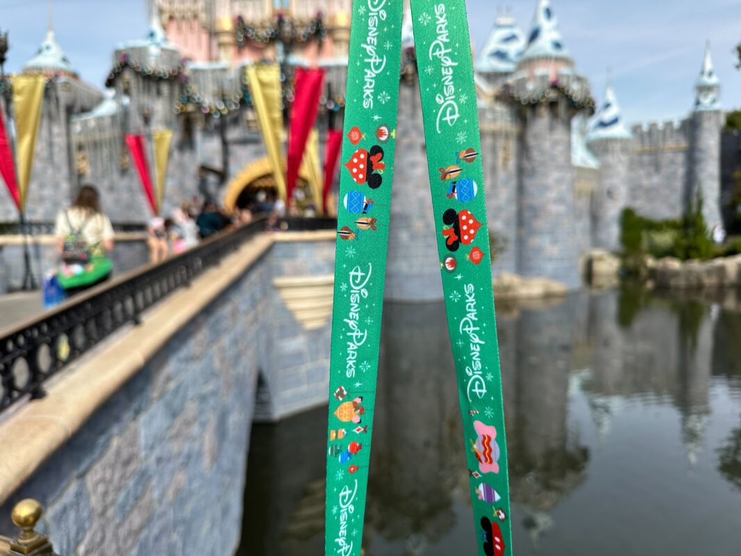 Vaso de acero inoxidable Navidad Disneyland 2023 9