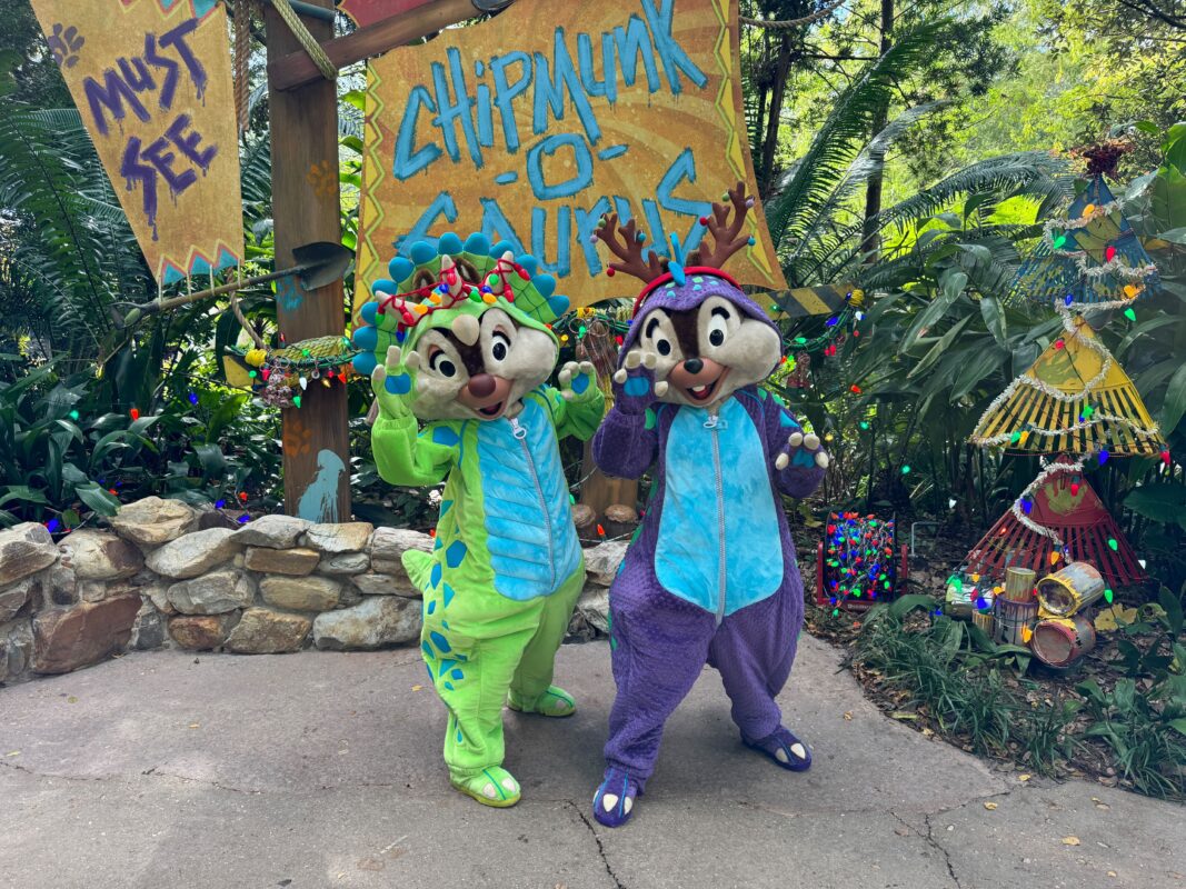 El personaje navideño de Disneys Animal Kingdom 2023 conoce y saluda a Chip y Dale 2
