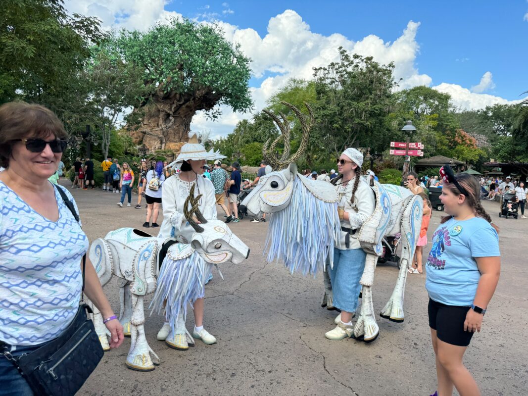 Feliz Menagerie 2023 Disney Animal Kingdom WDW 13