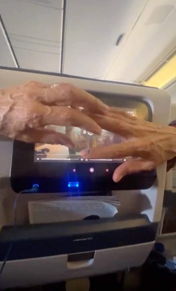 Un pasajero grosero bloquea la pantalla del televisor de un vecino durante un vuelo de larga distancia: «comportamiento de mierda»