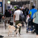 La temporada de viajes navideños de 2023 será la «más ocupada de la historia», predice la TSA.