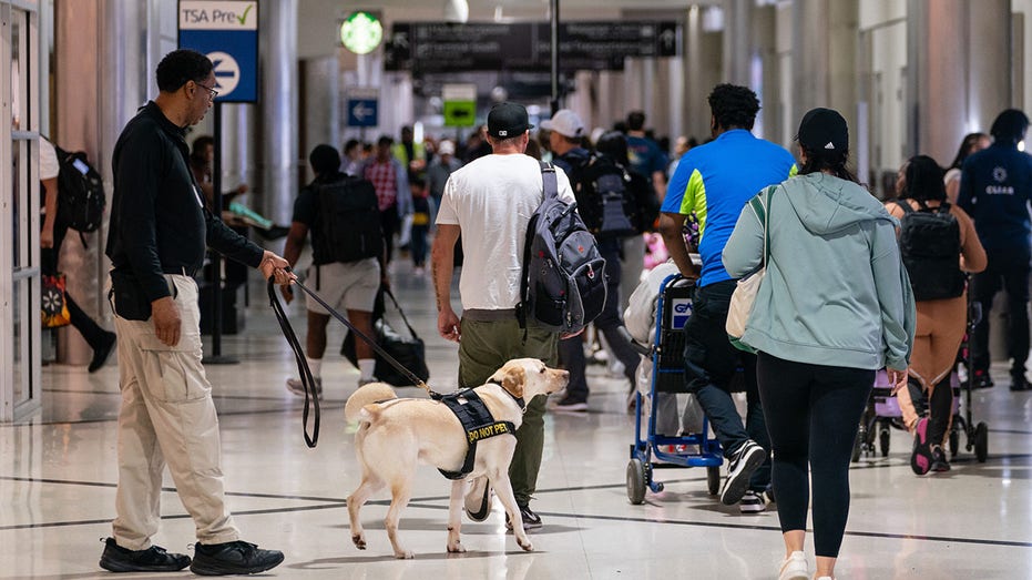 La temporada de viajes navideños de 2023 será la «más ocupada de la historia», predice la TSA.