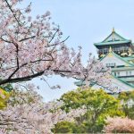 ¿Japón en 10 días? Este itinerario seleccionado hará precisamente eso.