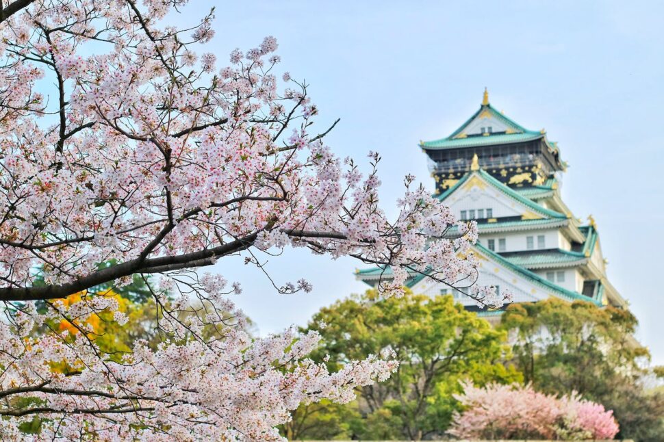 ¿Japón en 10 días? Este itinerario seleccionado hará precisamente eso.