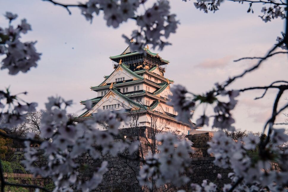 Una vista del castillo de Osaka Una vista del Castillo de Osaka a través de las ramas de un cerezo en flor.