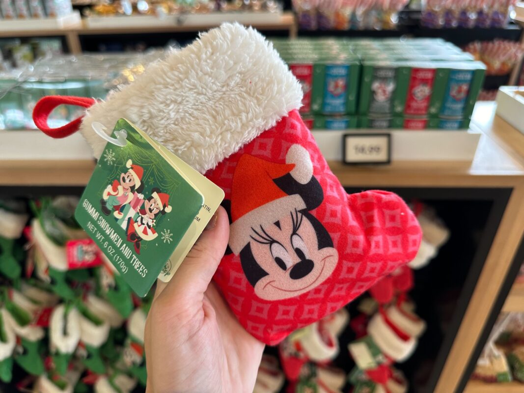 wdw oferta navideña noviembre 2023 0695