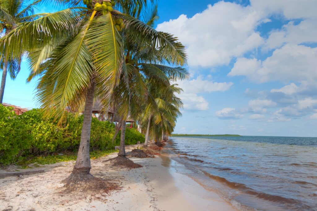 Por qué cada vez más turistas eligen Airbnb para su estancia en Konkan.