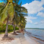 Por qué cada vez más turistas eligen Airbnb para su estancia en Konkan.