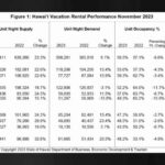 Informe de rendimiento de alquileres vacacionales en Hawái de noviembre de 2023: Big Island Now