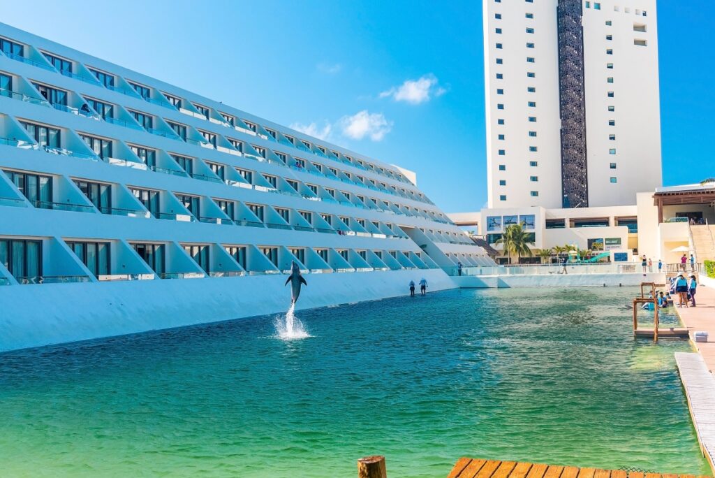 A pesar de la prohibición a nivel nacional, esta popular actividad turística continúa en Cancún.