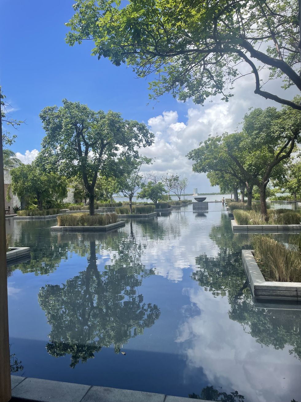 Un estanque con árboles y un puente.