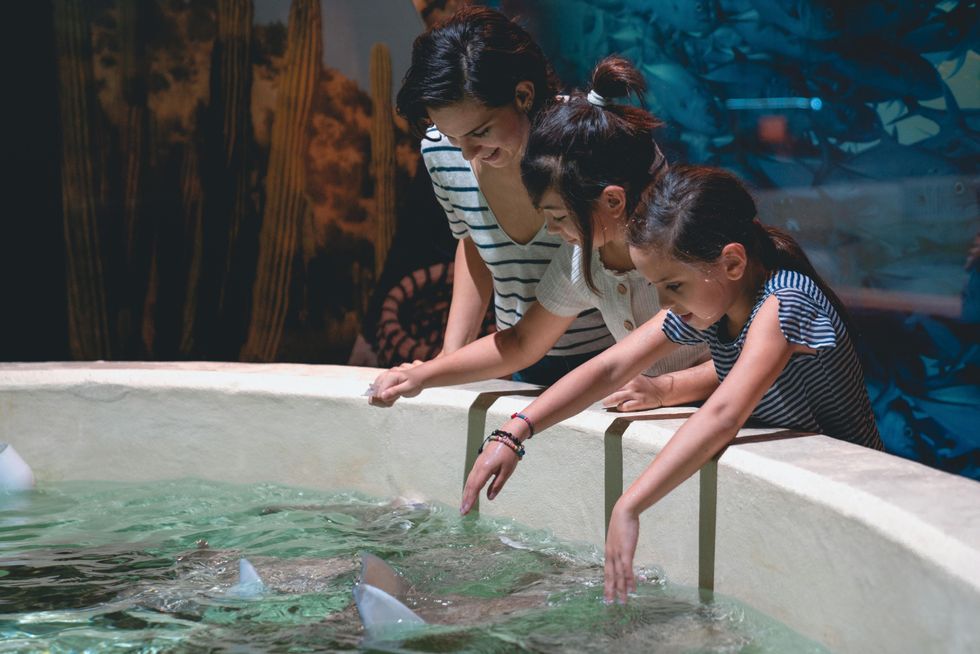 Ideas de vacaciones de verano para niños