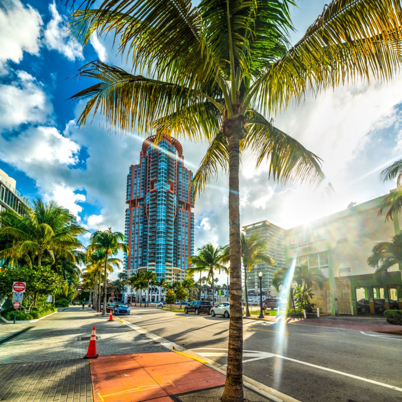 Palmeras y rascacielos en Miami